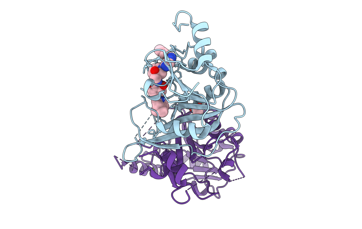 7ACD image
