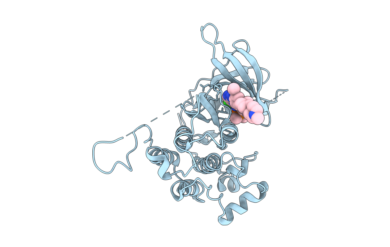 7AEM image