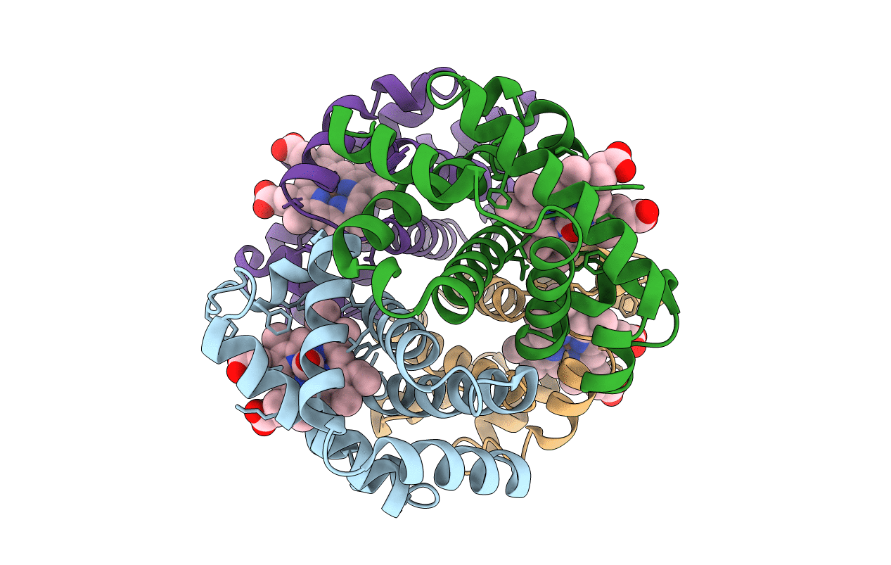 7AEV image