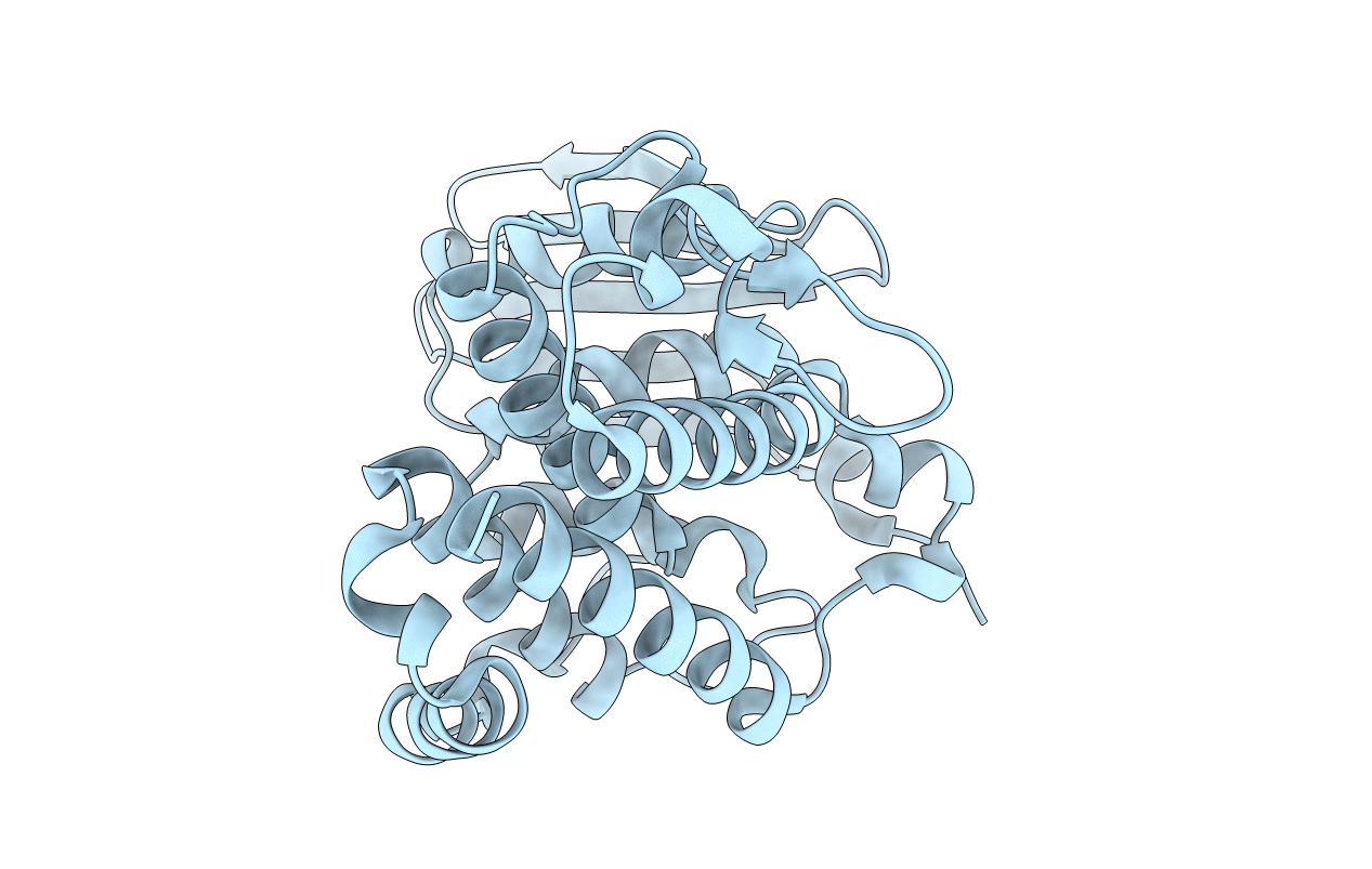 7AEX image