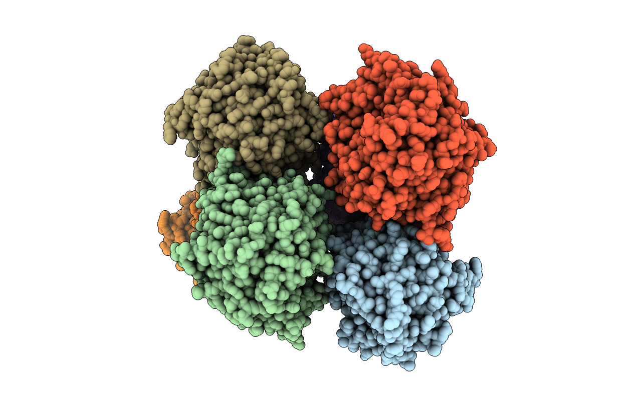 7AG4 image