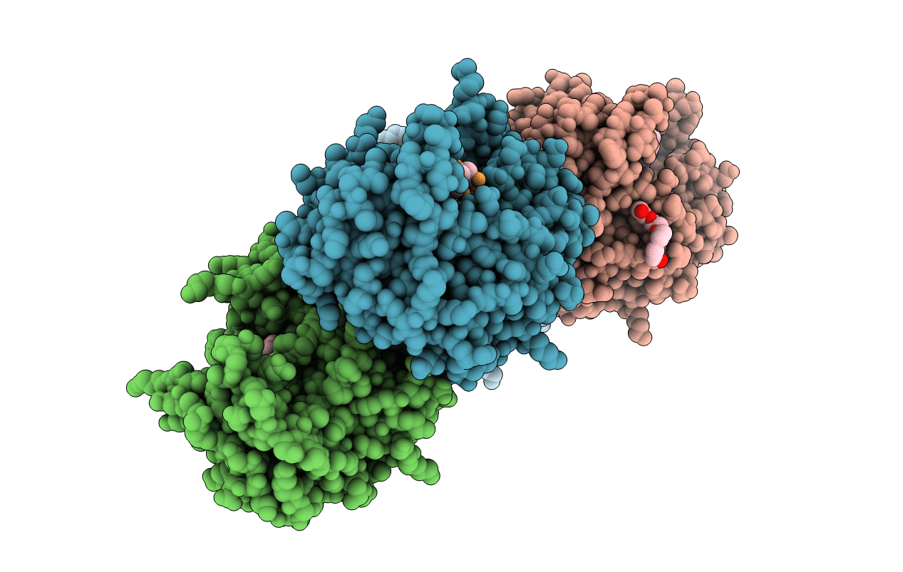 7AGD image