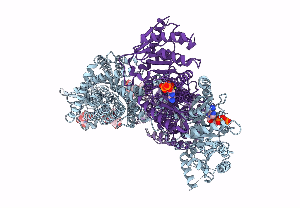 7AIP image