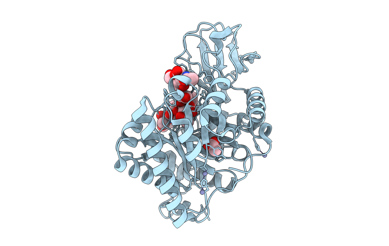 7AKQ image