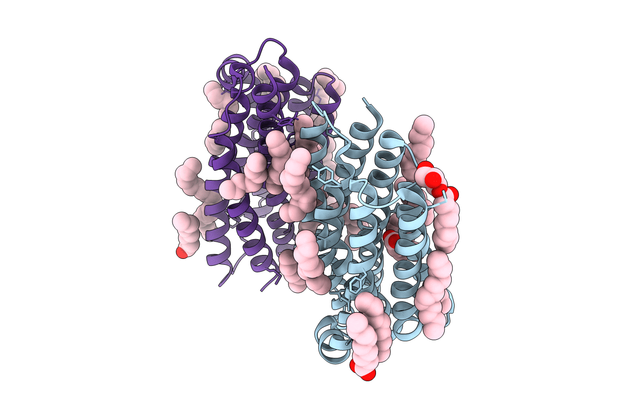 7AKX image