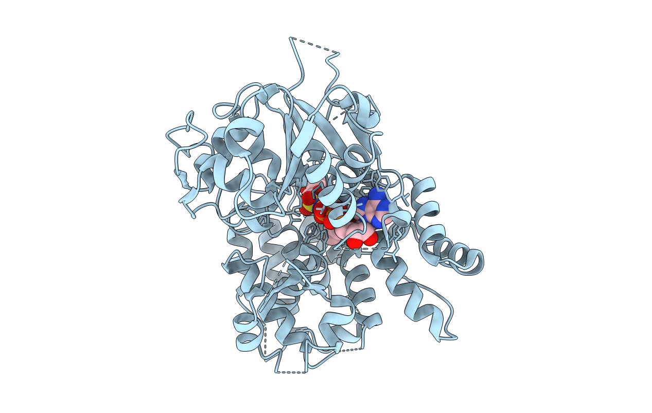 7ALV image