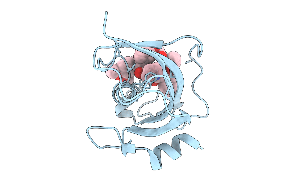 7AOU image