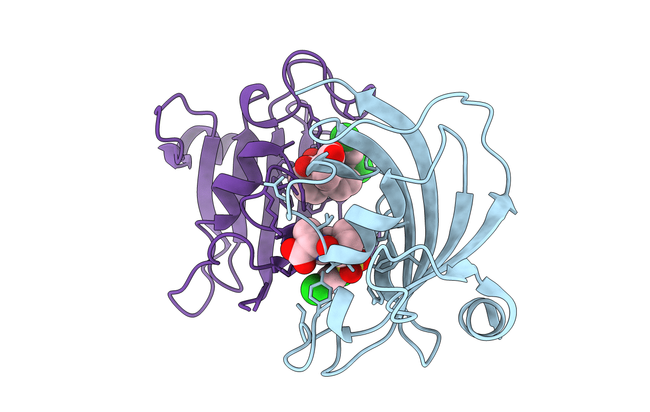7APS image
