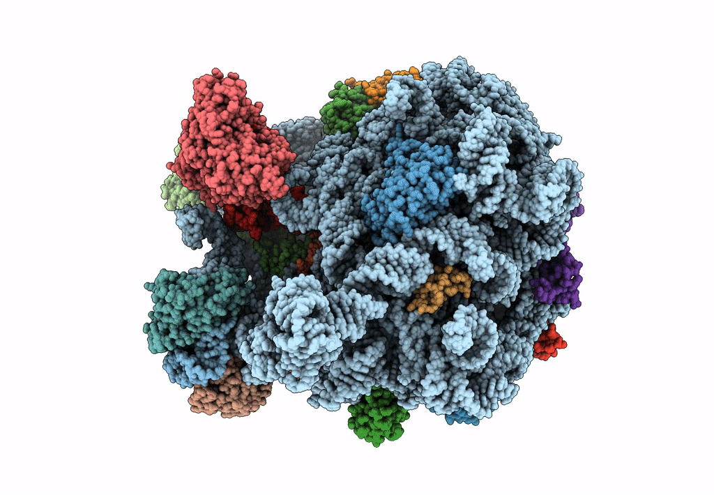 7AQD image