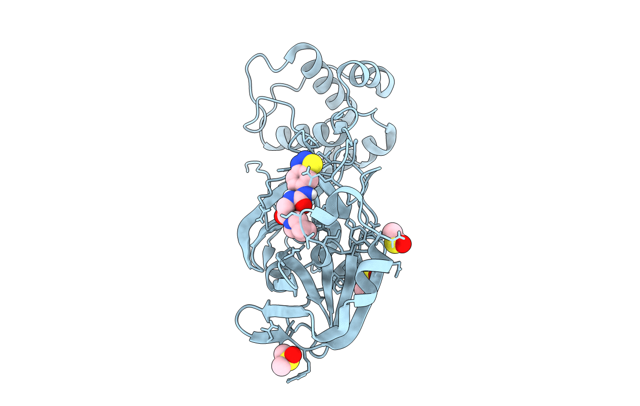 7AQE image