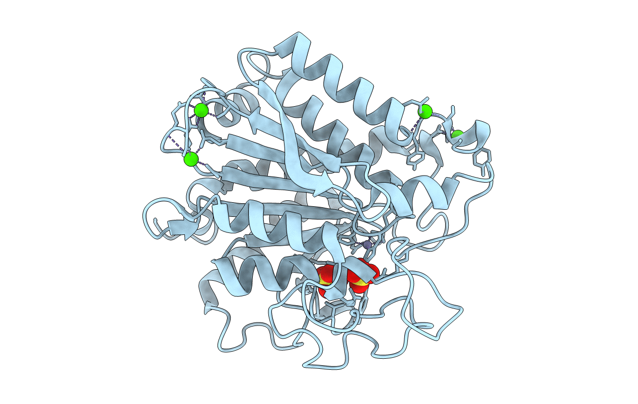 7AQP image