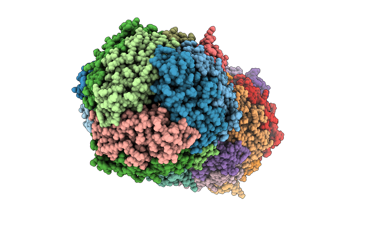 7AQS image