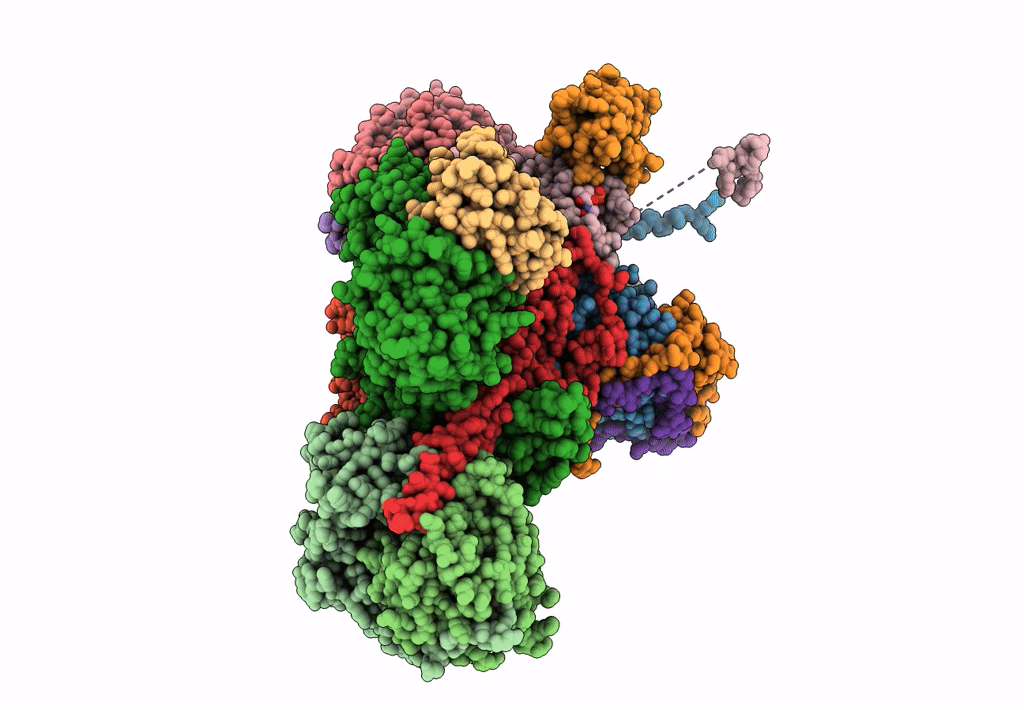 7ARC image