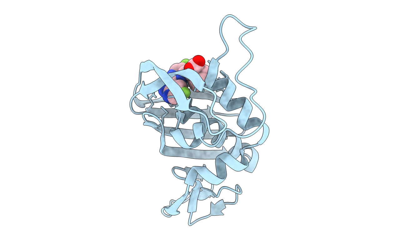 7AS2 image