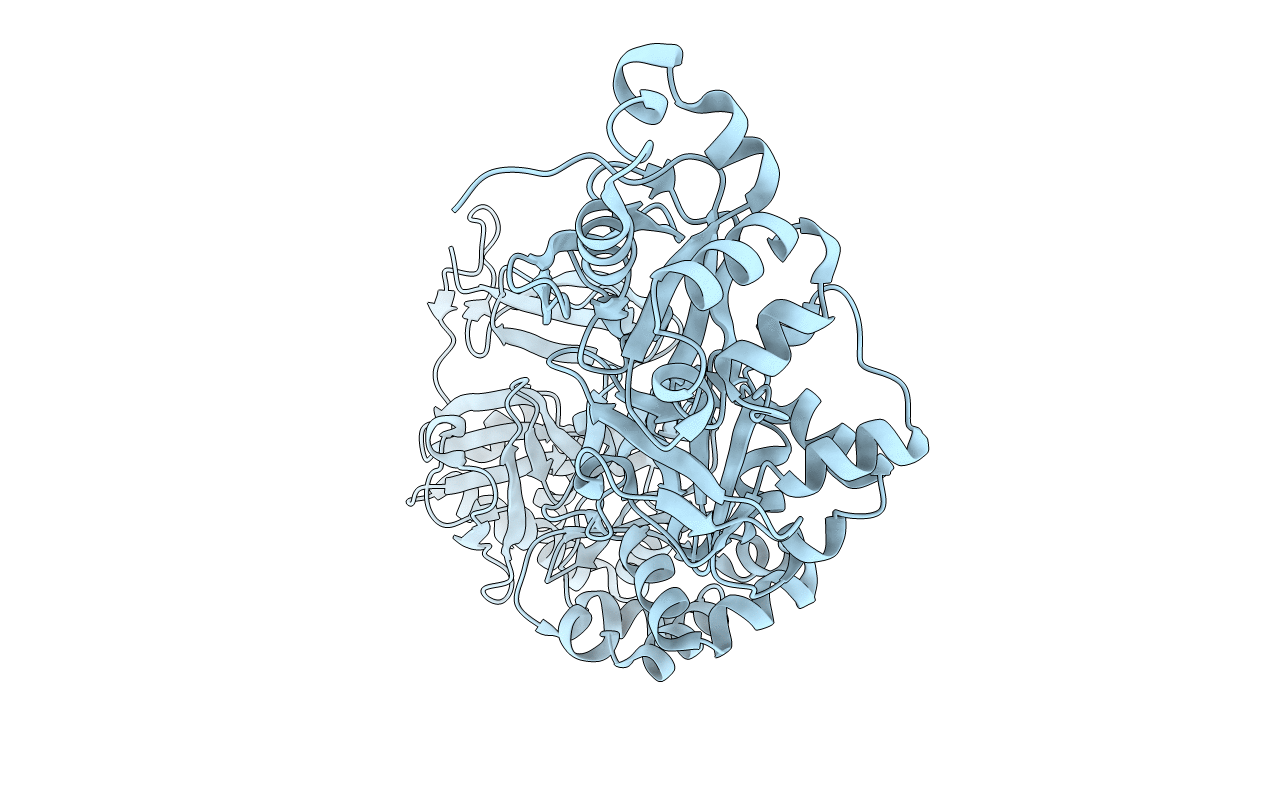 7ASG image