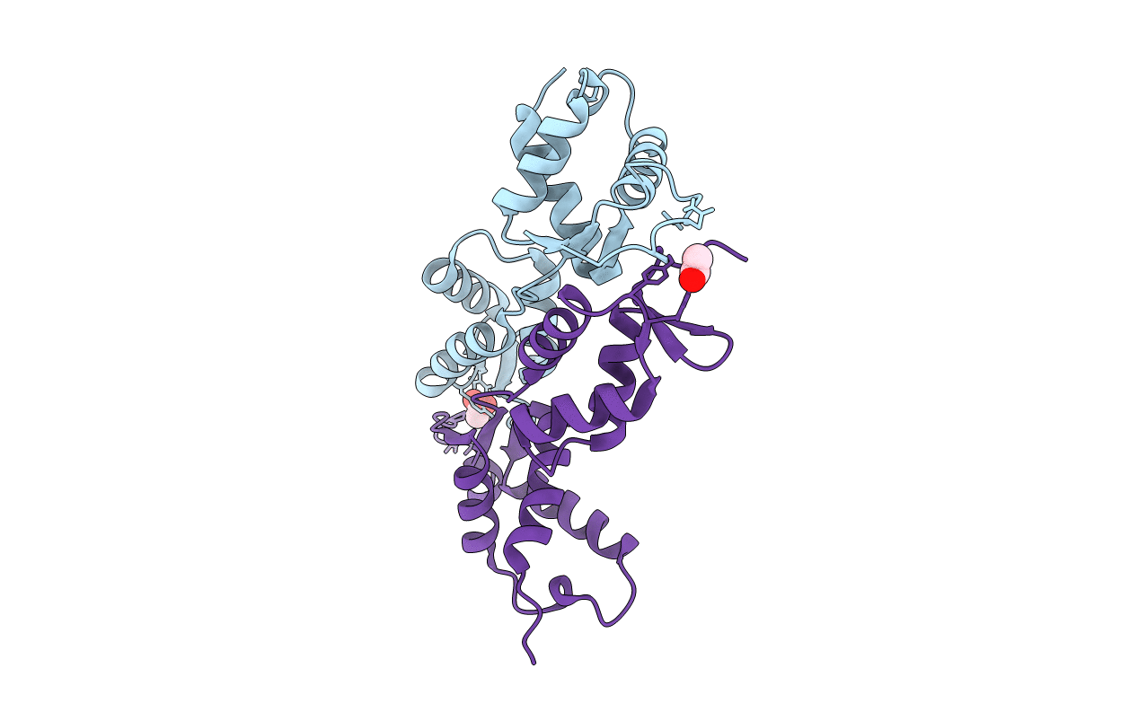 7ASV image
