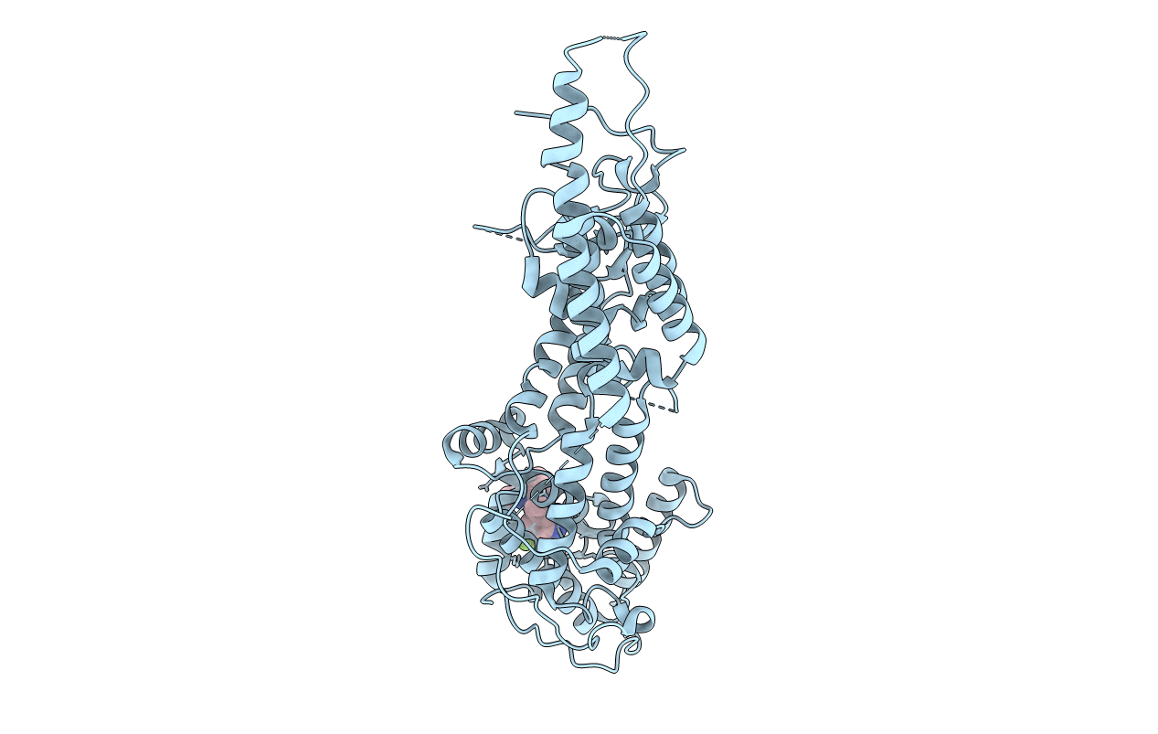7AVV image