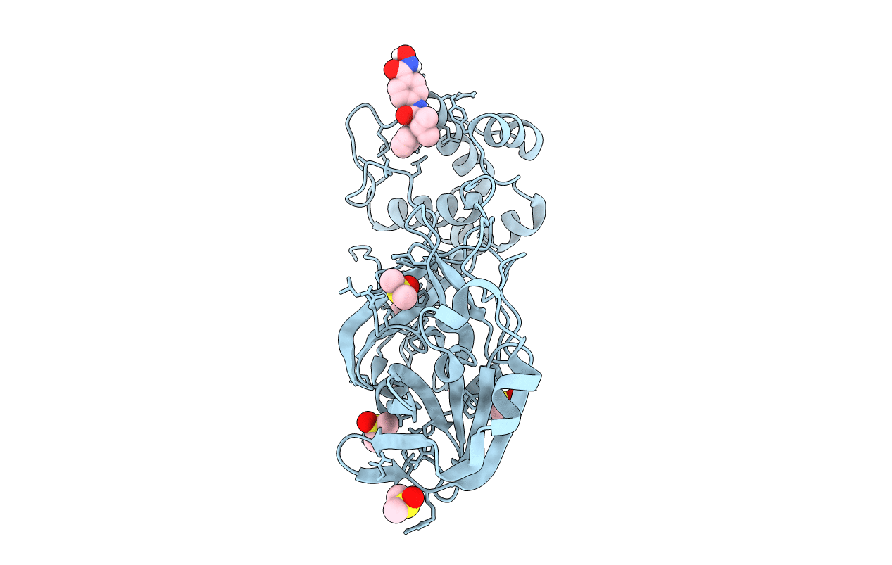 7AXO image