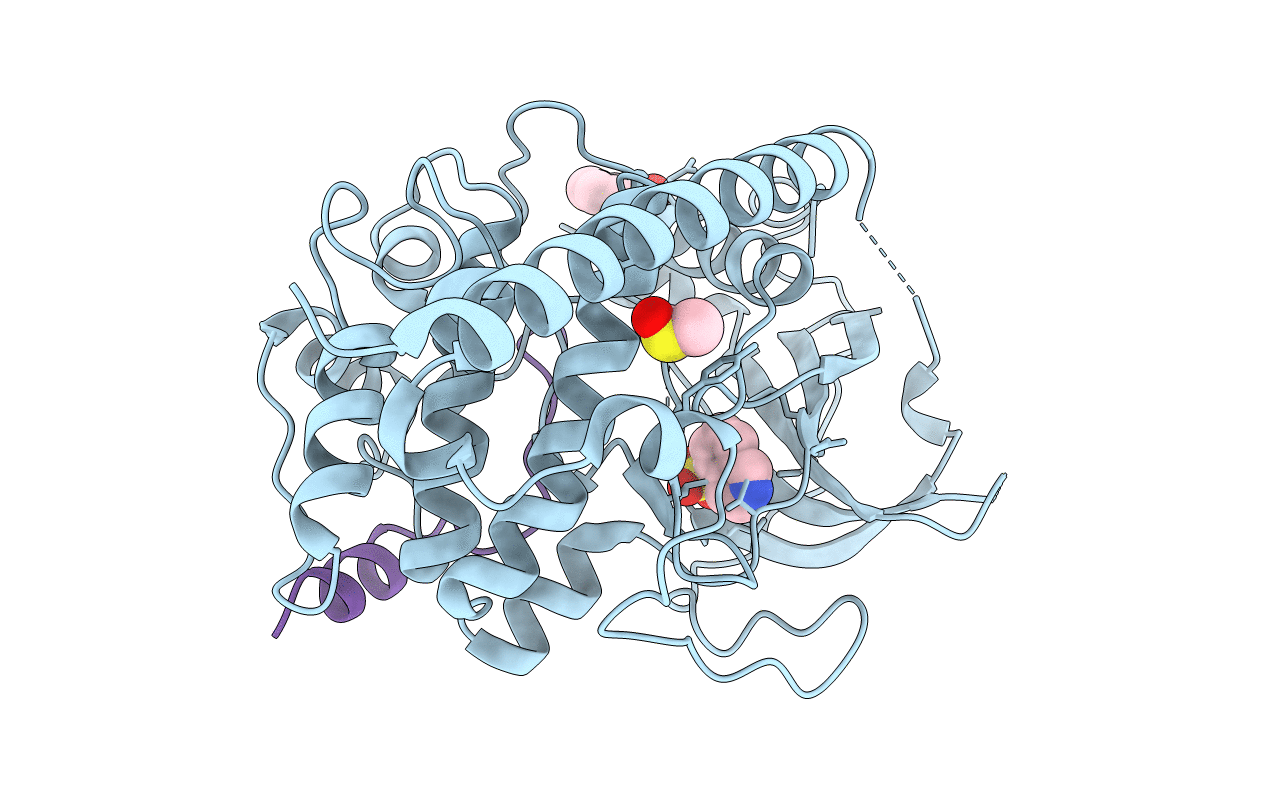 7AXV image