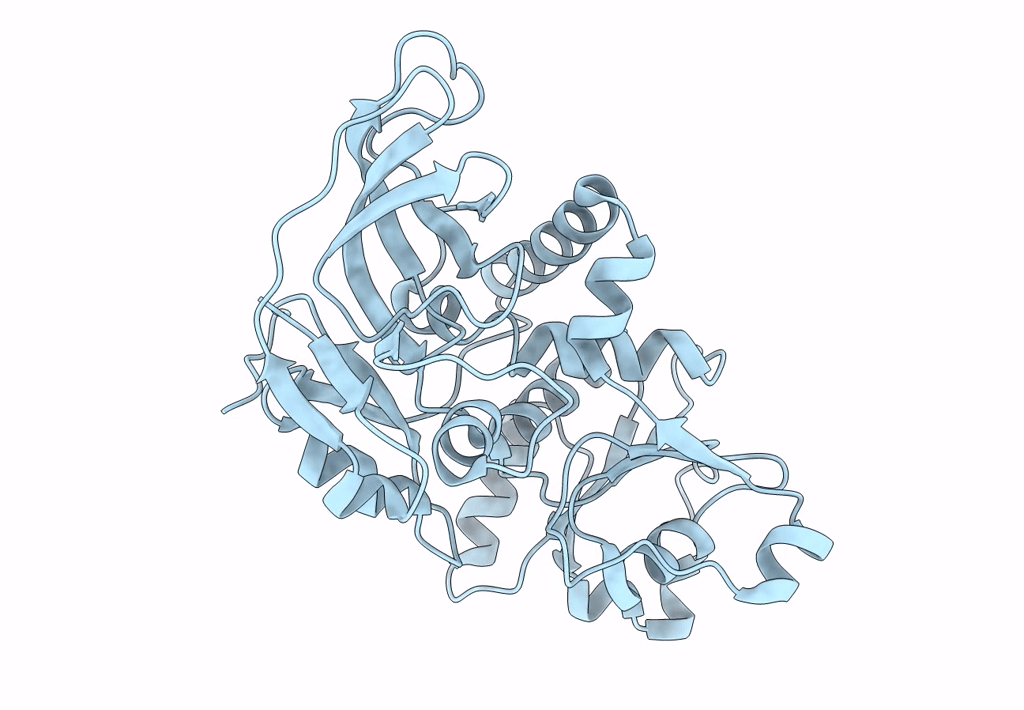 7AYC image