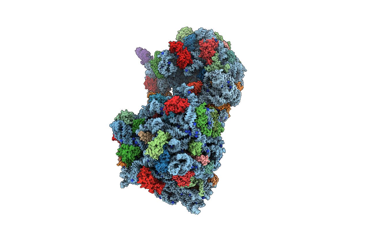 7AZO image