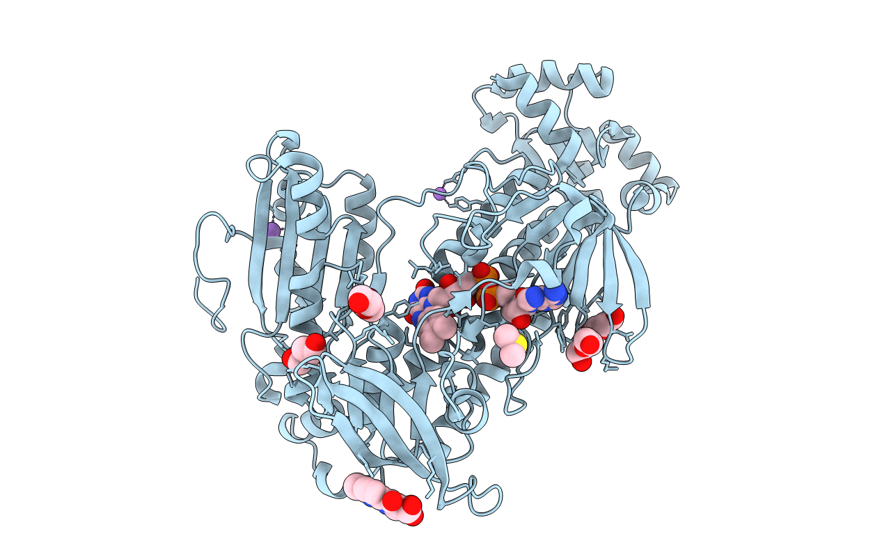 7B02 image