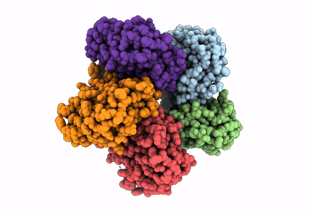 7B03 image