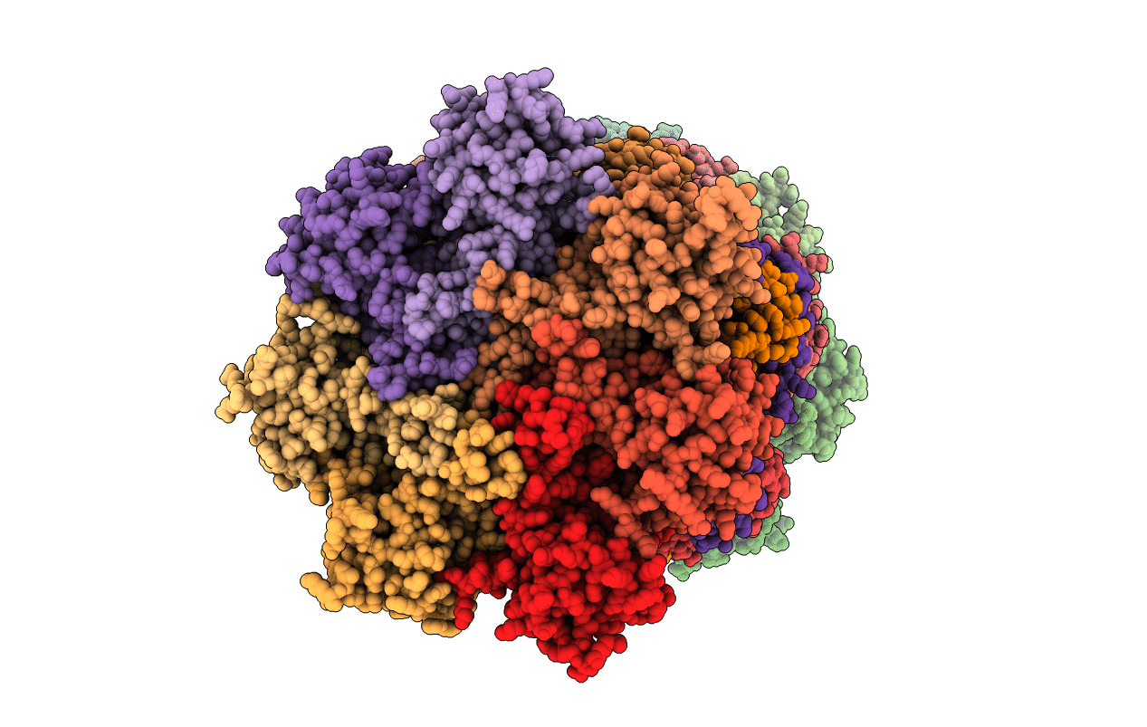 7B12 image