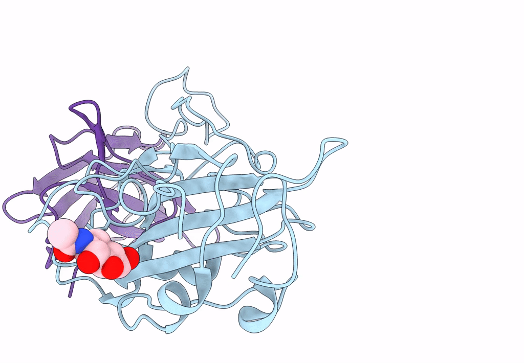 7B14 image