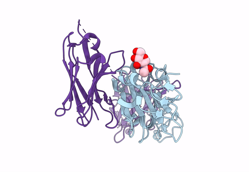 7B17 image