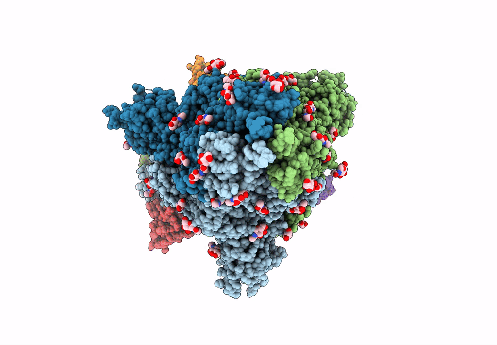 7B18 image