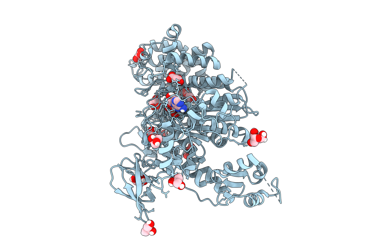 7B19 image