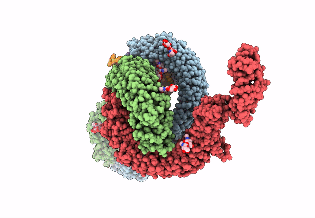 7B1C image