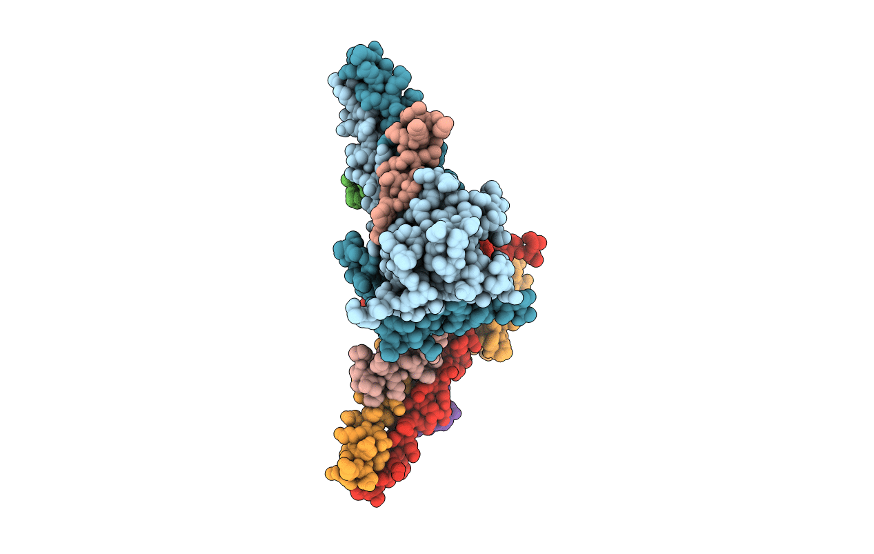 7B1H image