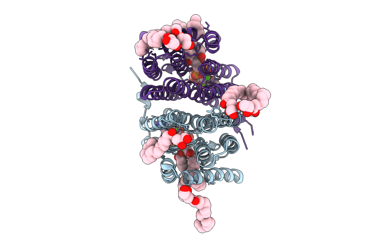 7B1K image
