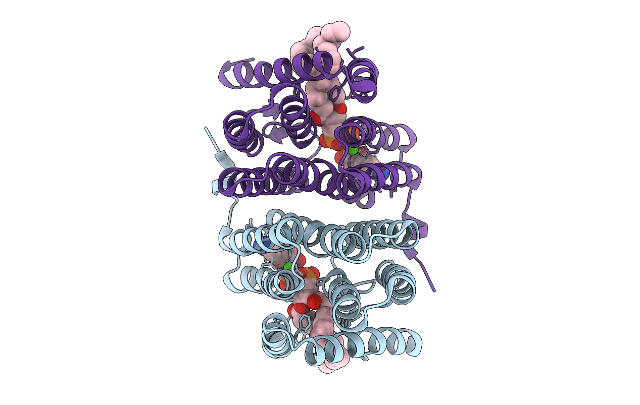 7B1N image