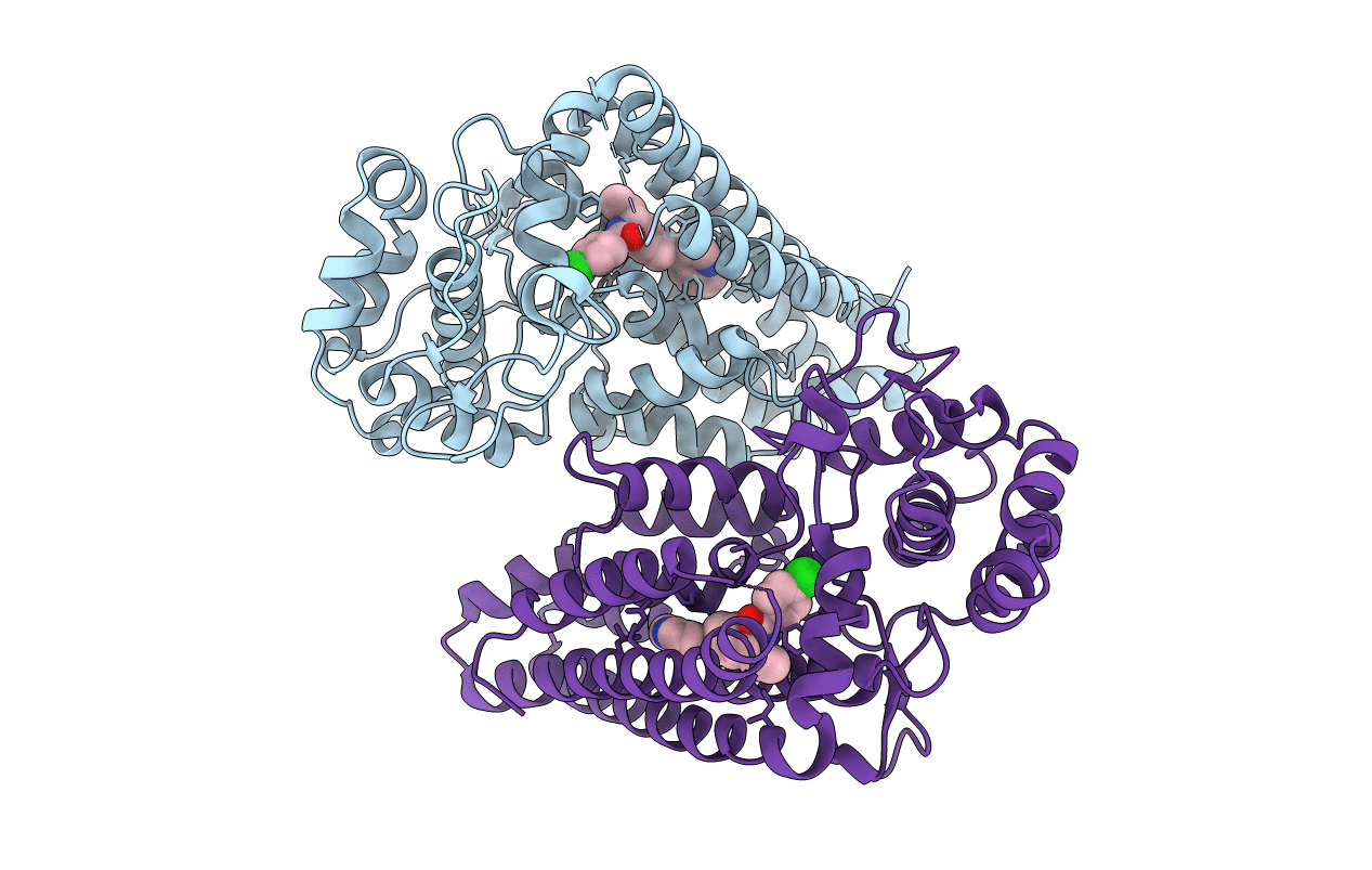 7B1O image