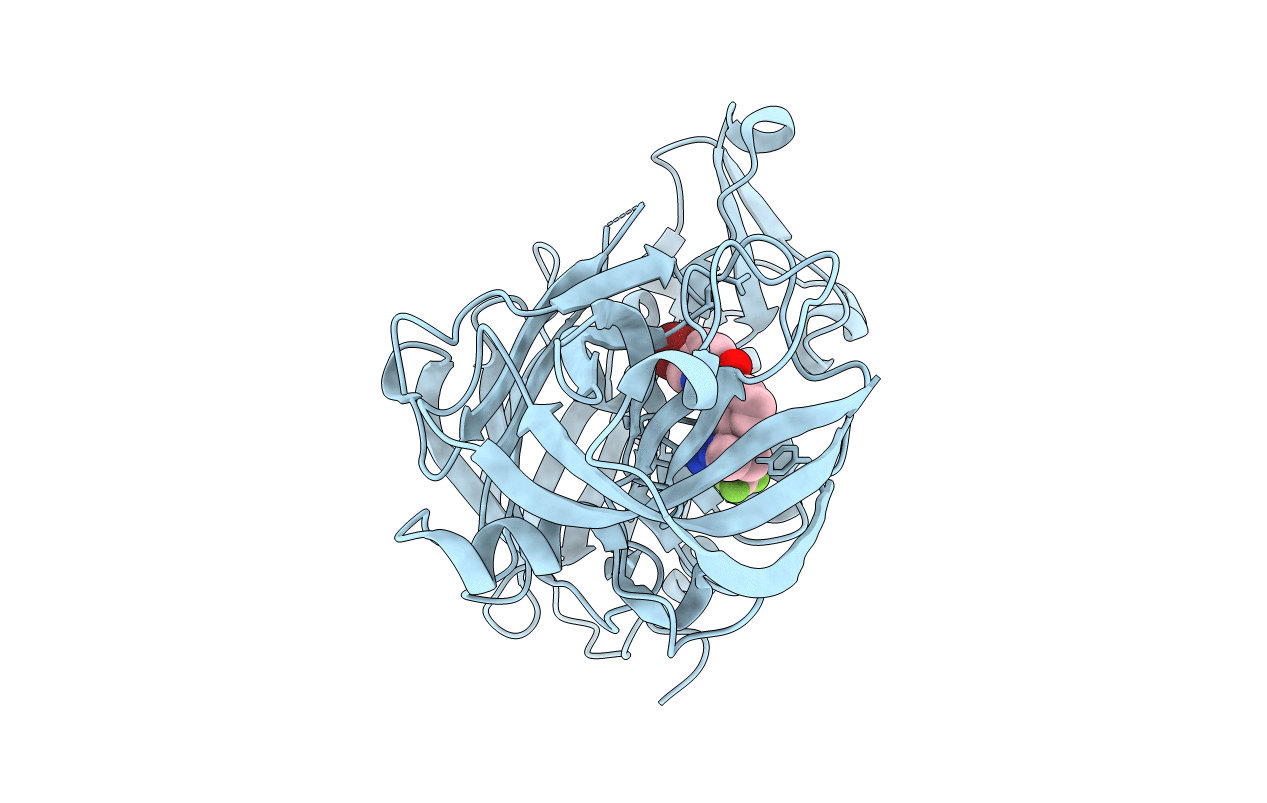 7B1P image