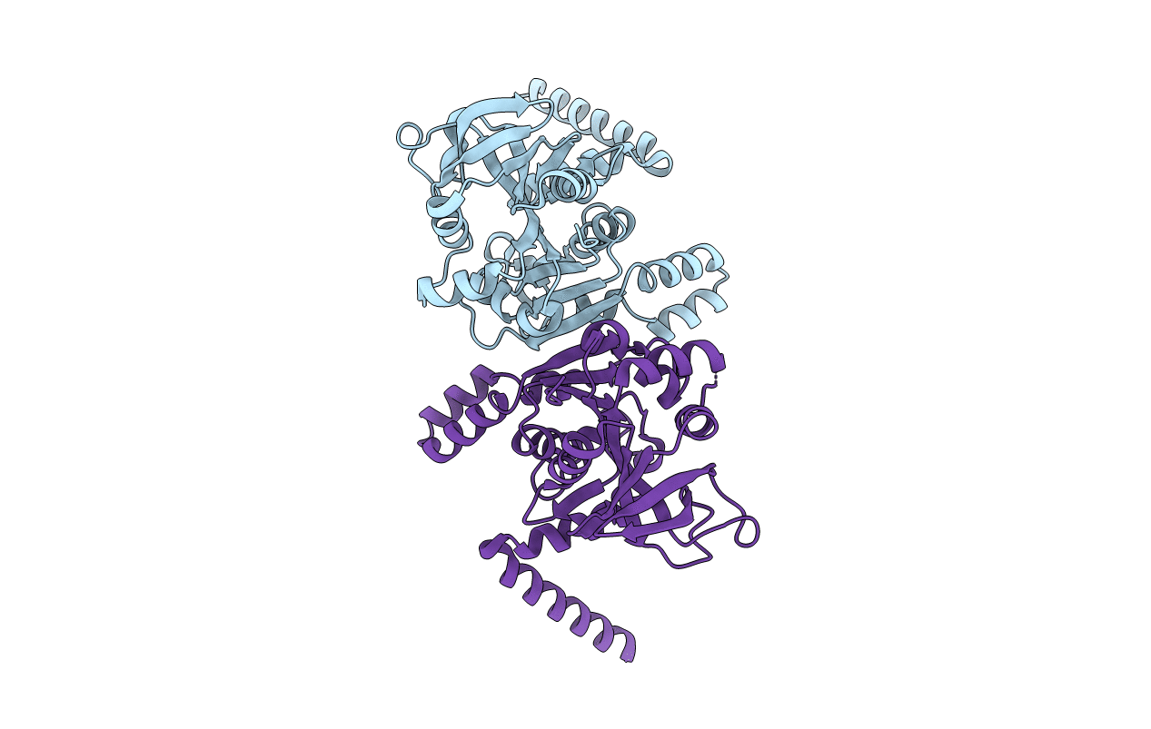 7B1R image