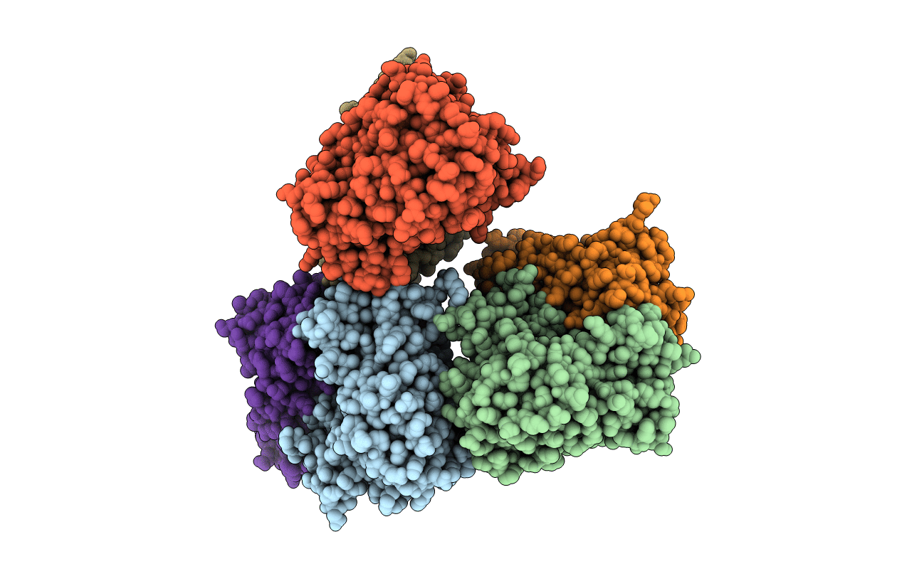 7B2O image