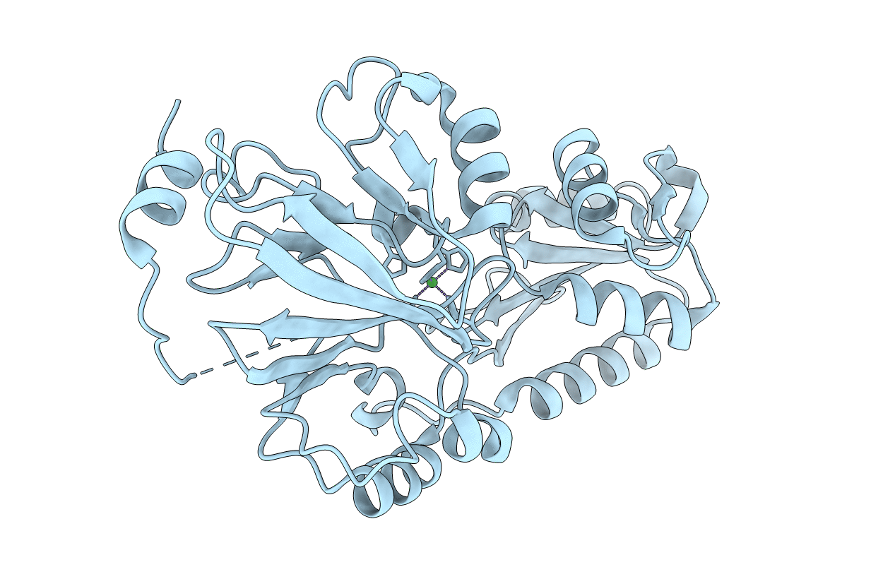 7B2X image