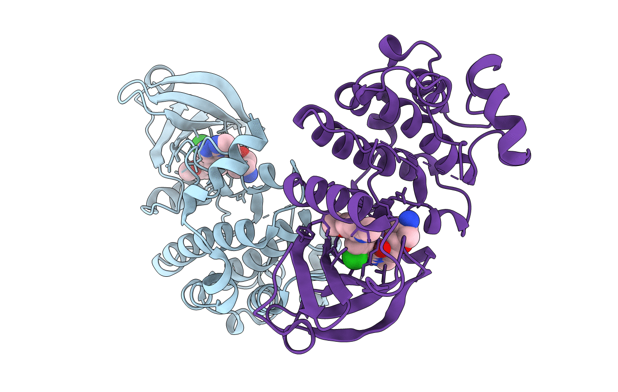 7B35 image