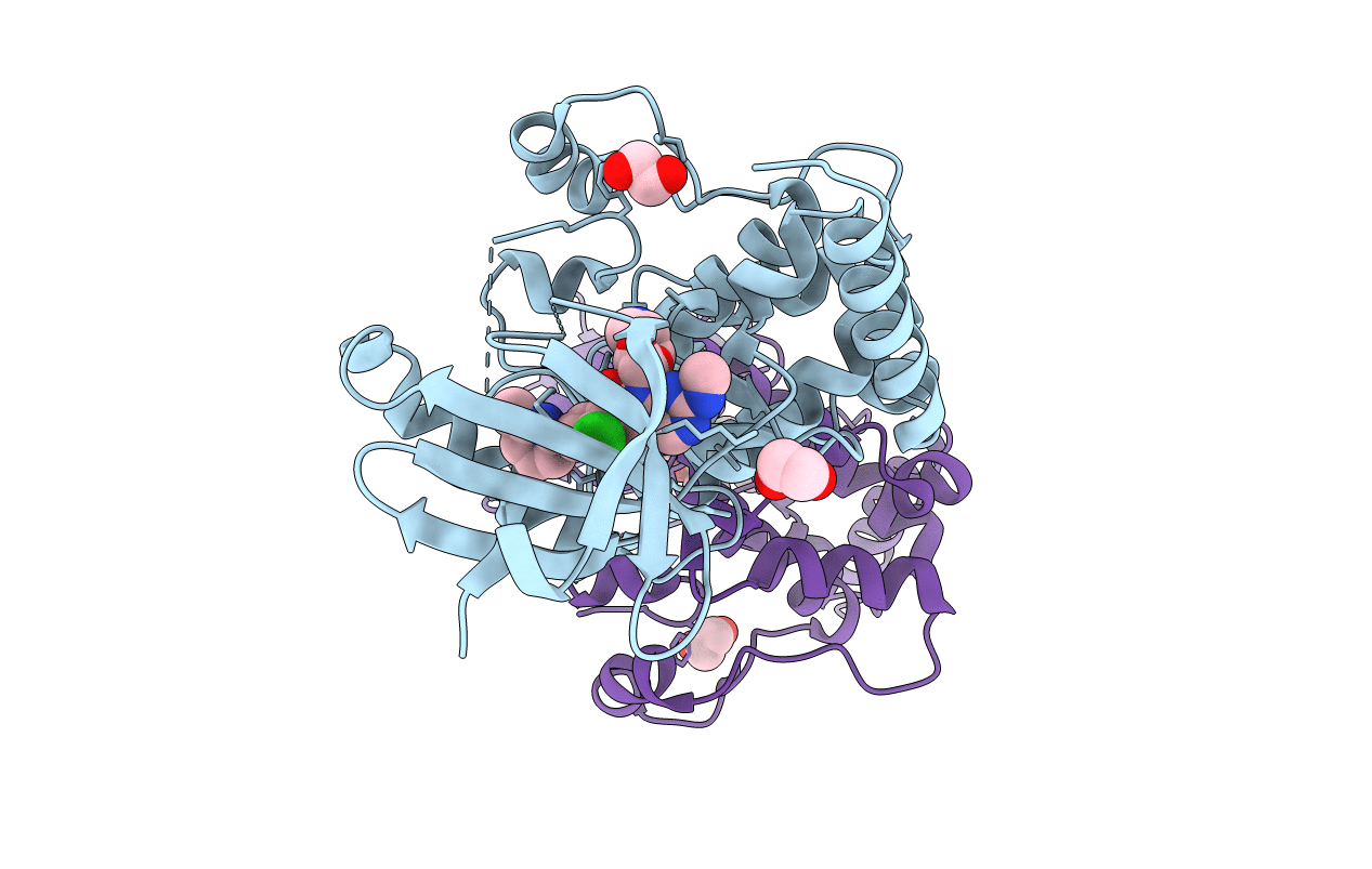 7B36 image