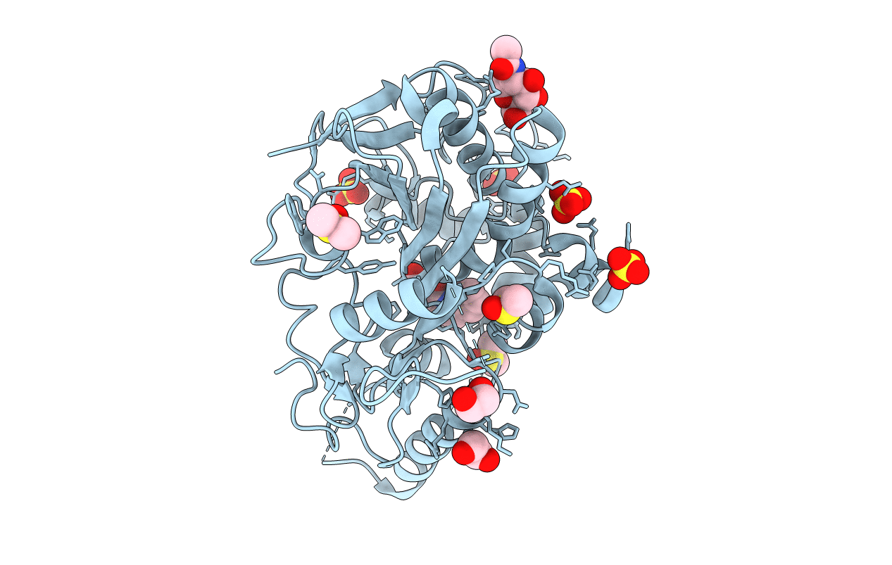 7B37 image