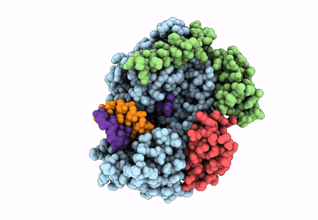 7B3B image