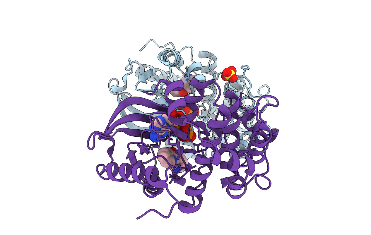 7B3M image