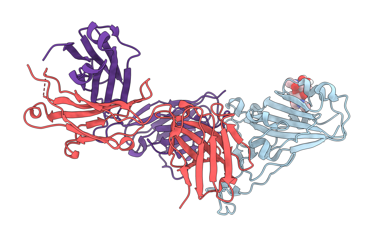7B3O image