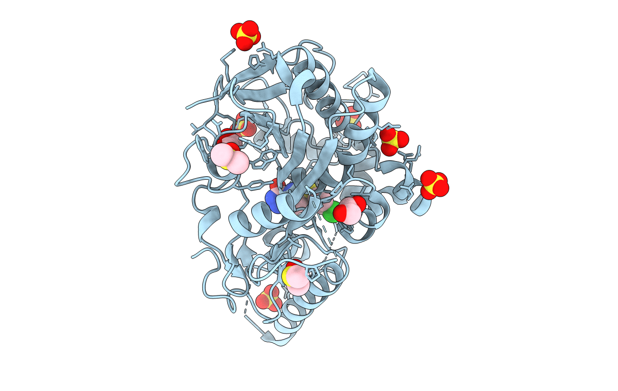 7B3P image