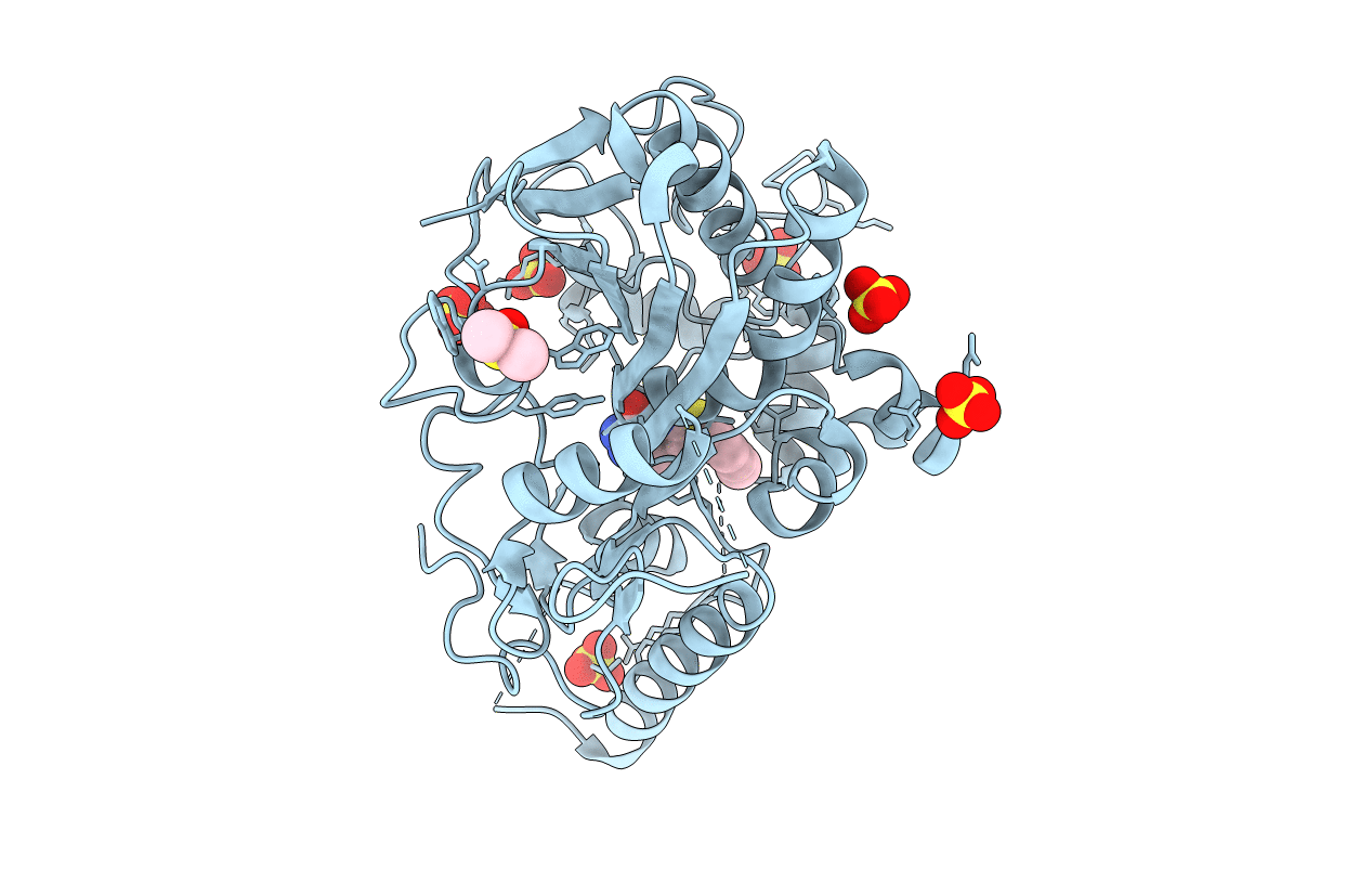 7B3X image