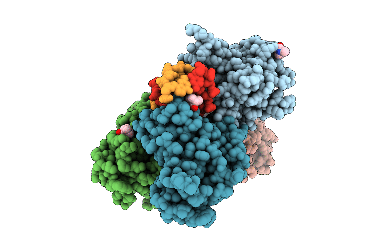 7B46 image